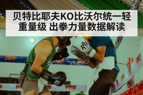 贝特比耶夫KO比沃尔统一轻重量级 出拳力量数据解读