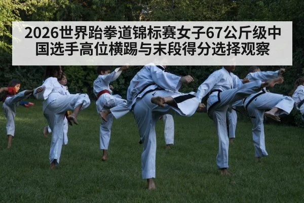 taekwondo high kick competition