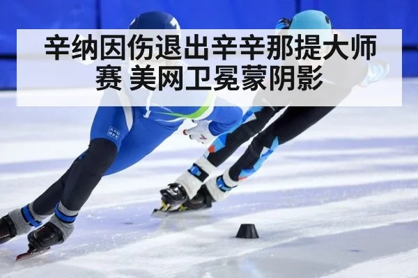 辛纳因伤退出辛辛那提大师赛 美网卫冕蒙阴影