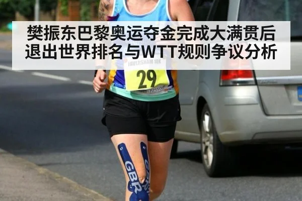 樊振东巴黎奥运夺金完成大满贯后退出世界排名与WTT规则争议分析